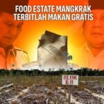 Angwar Sanusi: Food Estate Mangkrak Terbitlah Makan Gratis