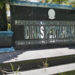PLT Kabid Sarana dan Prasarana Diduga Sabotase Ketahanan Pangan Nasional di Batang Kuis