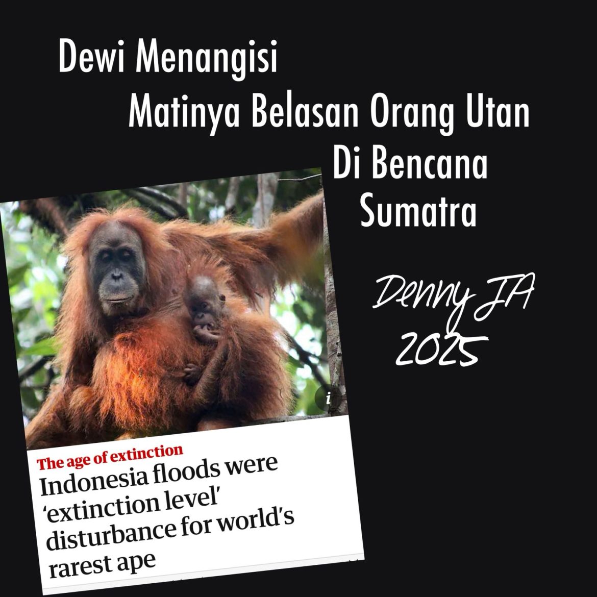 DEWI MENANGISI MATINYA BELASAN ORANG UTAN DI BENCANA SUMATRA